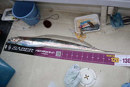 松本釣船2 釣果