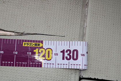 松本釣船2 釣果