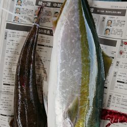 明神釣船 釣果
