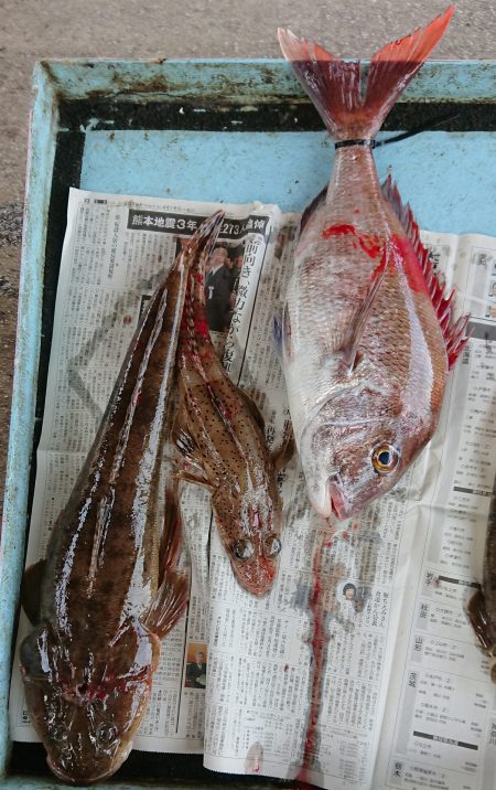 明神釣船 釣果