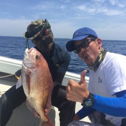 マタウマリンサービス 釣果