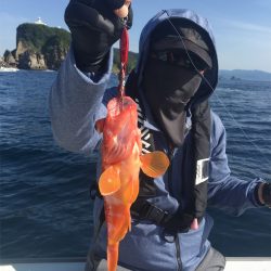 マタウマリンサービス 釣果