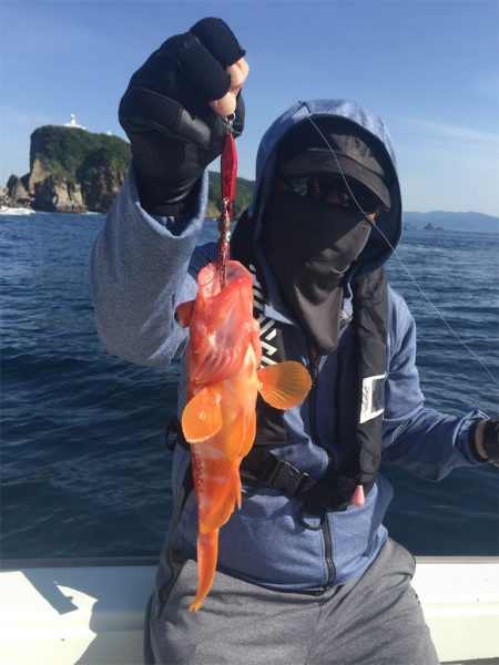 マタウマリンサービス 釣果