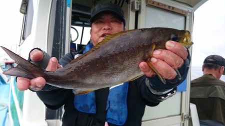 海晴丸 釣果