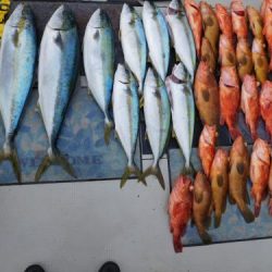 第二一之紀丸(ダイニイチノキマル) 釣果