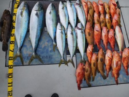 第二一之紀丸(ダイニイチノキマル) 釣果