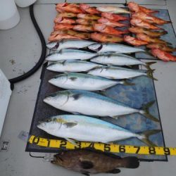 第二一之紀丸(ダイニイチノキマル) 釣果