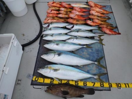 第二一之紀丸(ダイニイチノキマル) 釣果