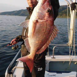 遊漁船ブルーウッズ 釣果