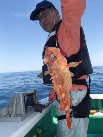 第二むつ漁丸 釣果