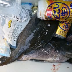 千津丸 釣果