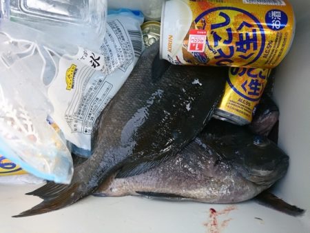 千津丸 釣果