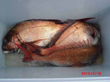 大進丸（新潟） 釣果