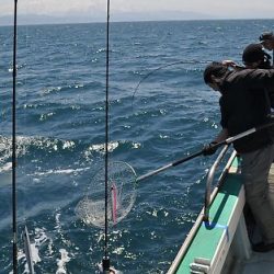 八海丸 釣果
