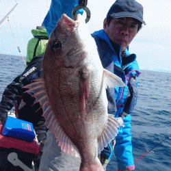 遊漁船ブルーウッズ 釣果