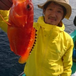 松栄丸 釣果