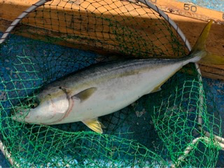 幸吉丸 釣果