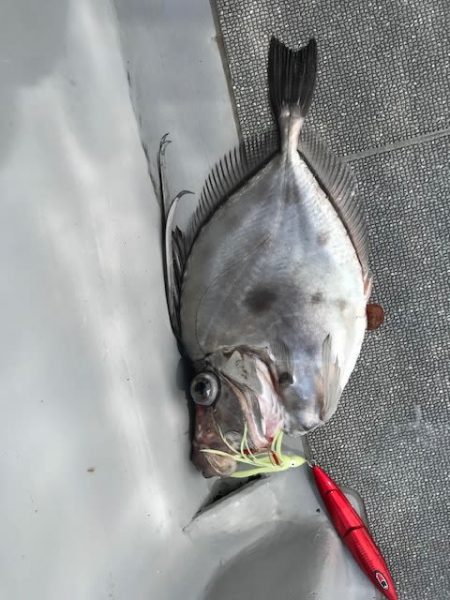 へいみつ丸 釣果