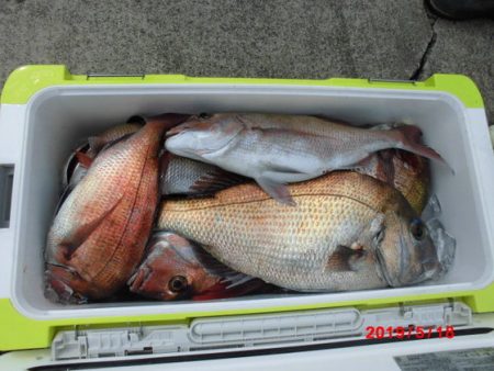 大進丸(新潟) 釣果