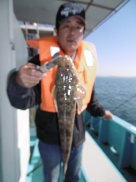 かもめ釣船 釣果