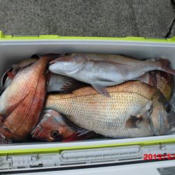 大進丸（新潟） 釣果