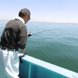 かもめ釣船 釣果