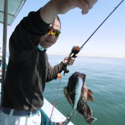 かもめ釣船 釣果