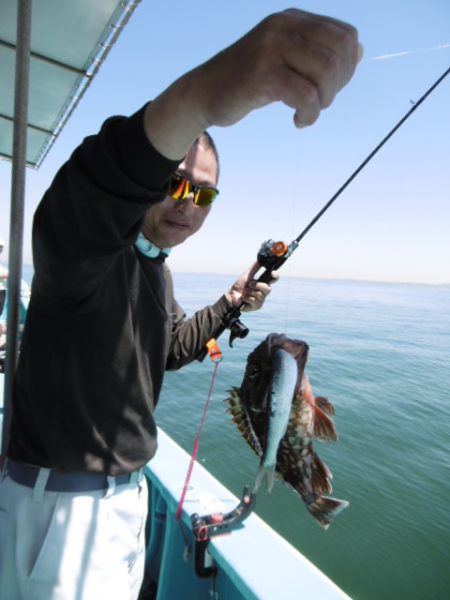 かもめ釣船 釣果