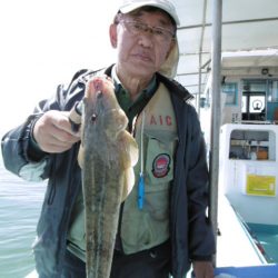 かもめ釣船 釣果