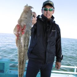 かもめ釣船 釣果