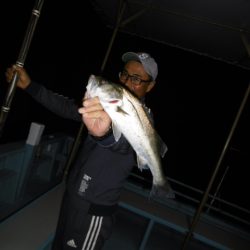 かもめ釣船 釣果