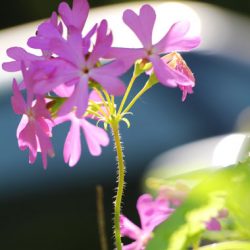 小菅トラウトガーデン 釣果