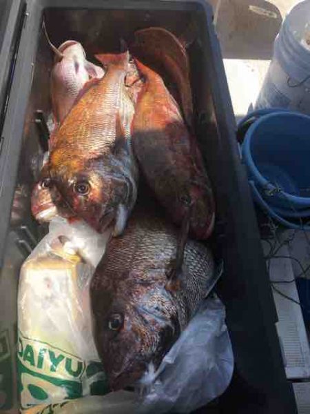龍宮丸 釣果