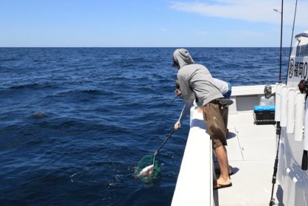 クルーズ 釣果