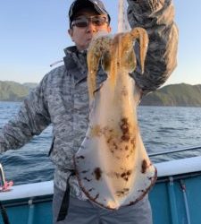 愛海丸 釣果
