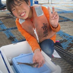 オリジナルメーカー海づり公園(市原市海づり施設) 釣果