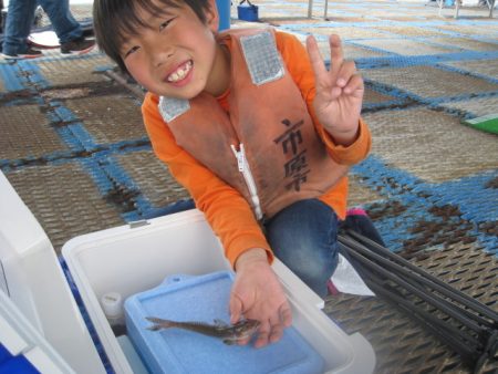 オリジナルメーカー海づり公園(市原市海づり施設) 釣果