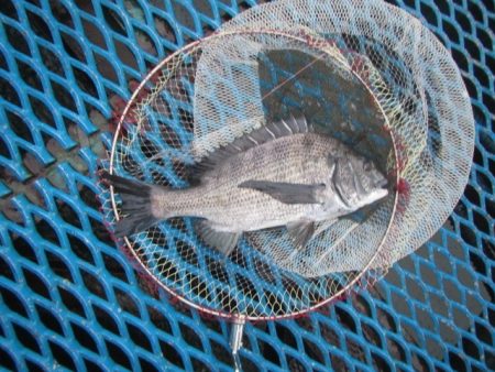 オリジナルメーカー海づり公園(市原市海づり…