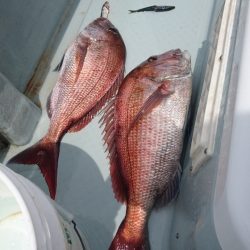 遊漁船ブルーウッズ 釣果