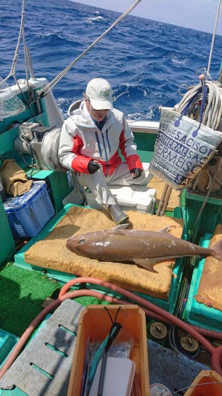 フィッシングハウス伊藤 釣果