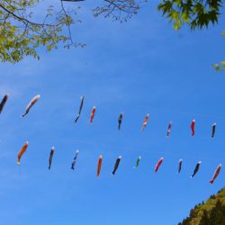 小菅トラウトガーデン 釣果