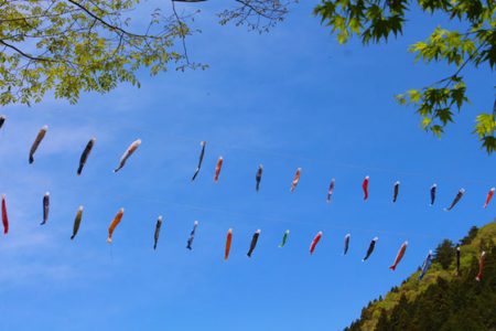 小菅トラウトガーデン 釣果