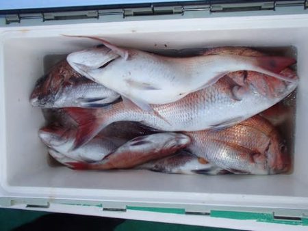 第二むつ漁丸 釣果