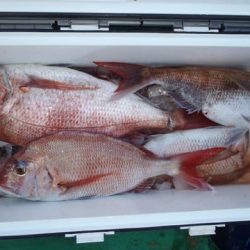 第二むつ漁丸 釣果