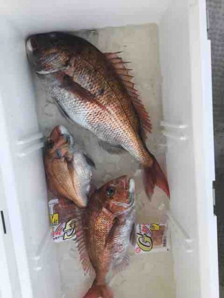 龍宮丸 釣果