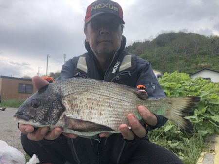 由良渡船 釣果