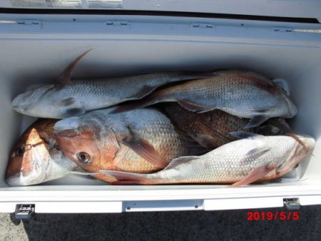 大進丸(新潟) 釣果