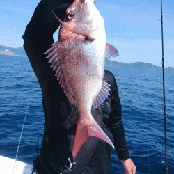 遊漁船ブルーウッズ 釣果