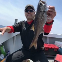 へいみつ丸 釣果