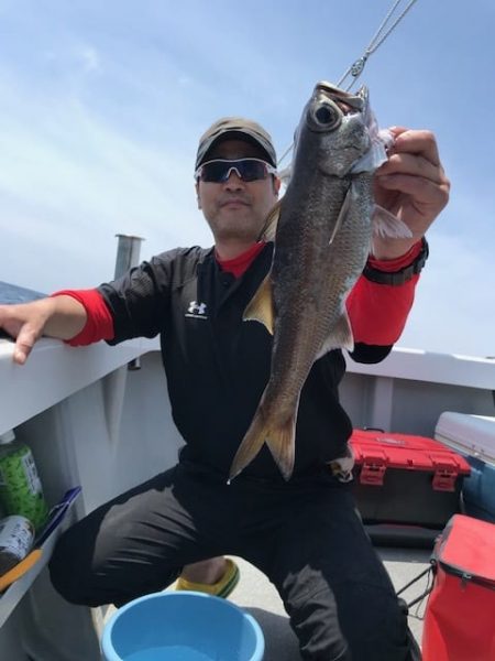 へいみつ丸 釣果